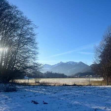 Charmantes Garten-Apartment: Erholung Im Chiemgau 安特沃森 外观 照片
