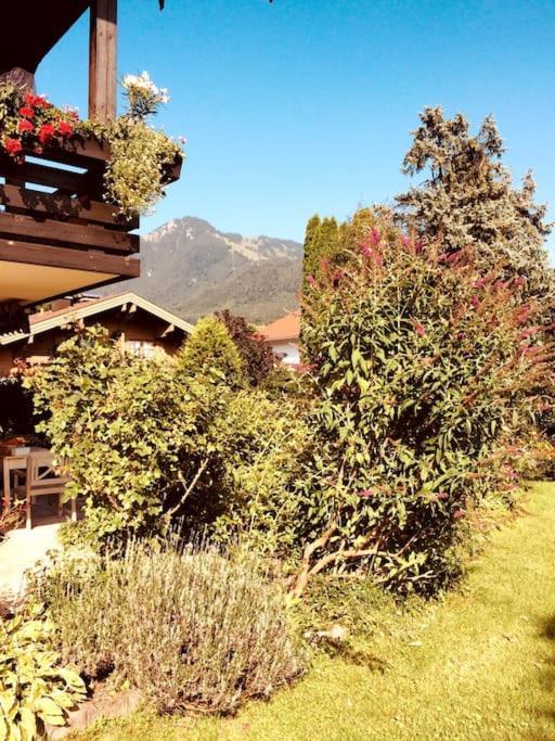 Charmantes Garten-Apartment: Erholung Im Chiemgau 安特沃森 外观 照片